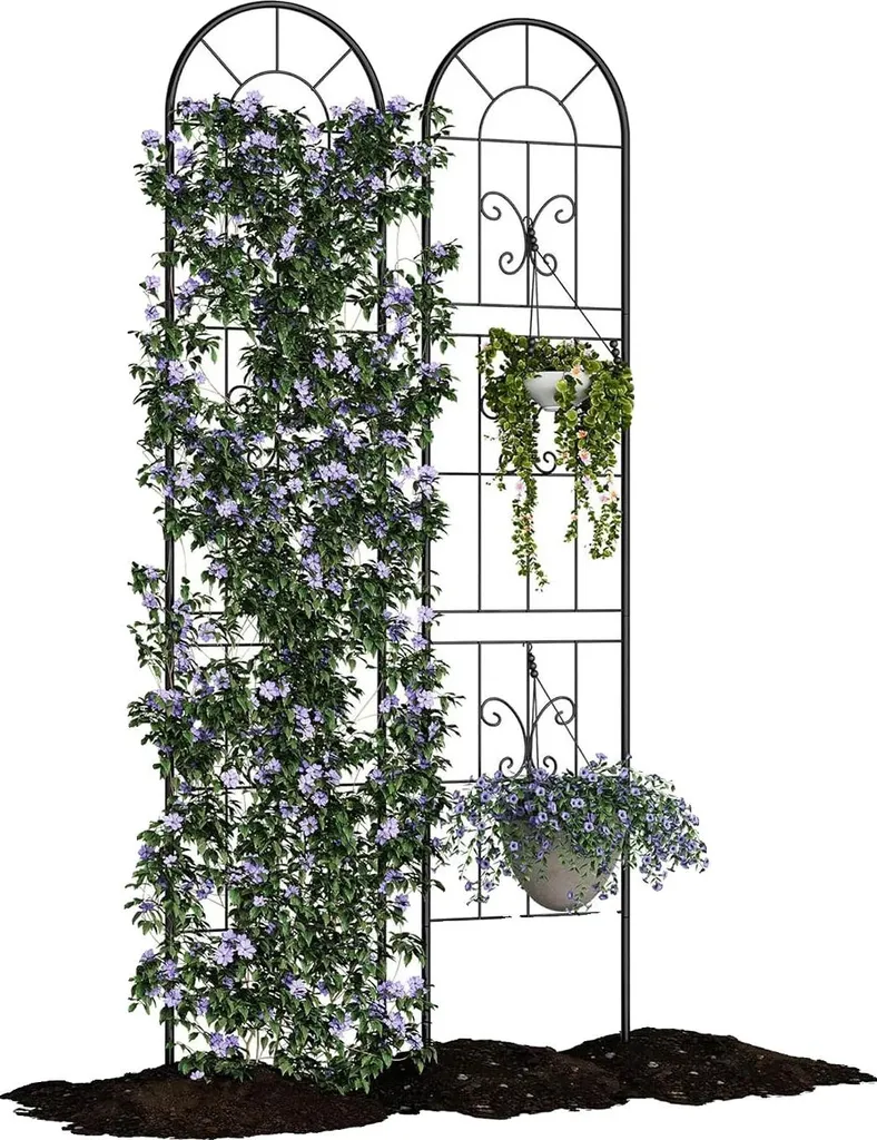 Aménager un mur végétal avec le treillis de jardin en fer noir stable