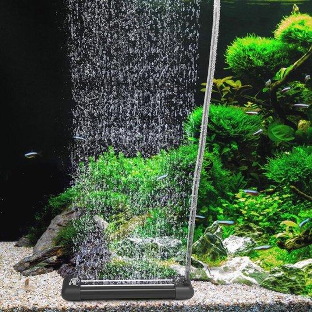 Stiller Aquarium Lufstein für optimale Sauerstoffversorgung