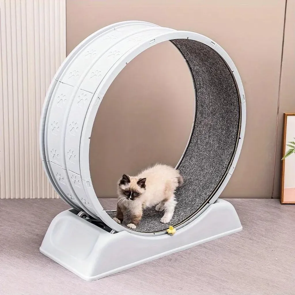 Ruota per Gatti Grigia Minimal 76cm | Accessorio Fitness Design Silenzioso - 2
