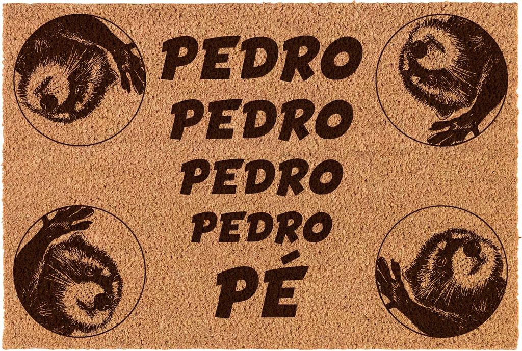Kokos-Fußmatte „PEDRO PEDRO PEDRO PE“ 40x60 cm – Innenbereich