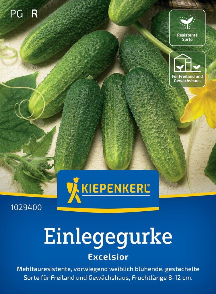 Kiepenkerl Einlegegurkensamen Excelsior F1 Cucumis sativus Produktbild 