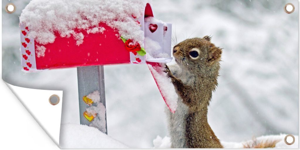 MuchoWow 160x80 cm Outdoor-Poster Gartendeko Sichtschutz Garten Poster für den Garten Eichhörnchen - Briefkasten - Schnee - Winter