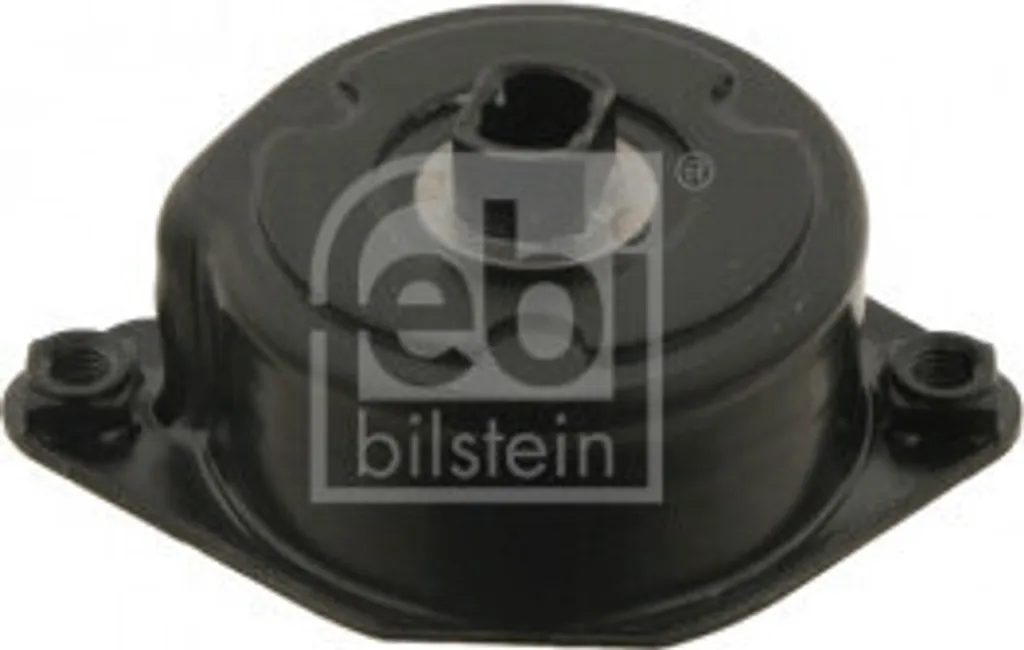 Stop Sifflements Courroie : Tendeur Febi 30117 pour BMW Série 3 5 7