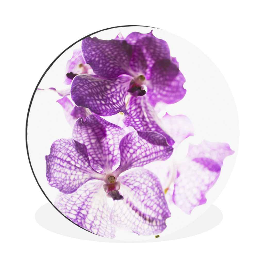 MuchoWow Aluminium Wandkreis Lila Orchideen Ø 90 cm Wanddeko Modern Wohnzimmer - Mauerkreis - Wandbilder - Runde Bild - Bild aus Aluminium - Sch...
