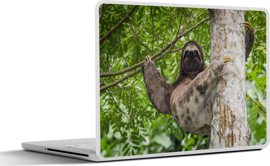 MuchoWow Laptop Aufkleber Sticker Cover Ein Faultier klettert auf einen Baum in grüner Umgebung 25x18 cm - Laptop-Deko