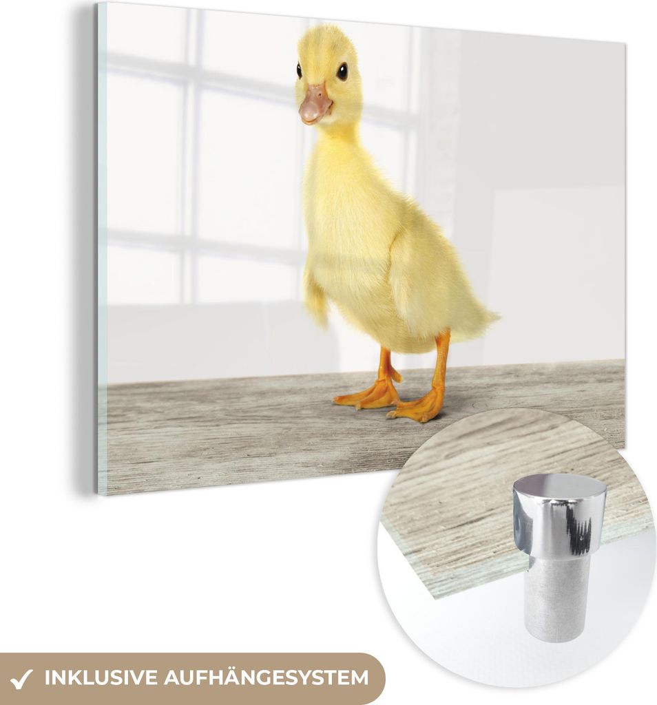 MuchoWow Glasbilder - Bilder auf Wandbild - Foto auf Glas Ente - Küken - Tiere - Süß - Mädchen - Jungen - Kinder 60x40 cm Wanddekoration aus Gl...