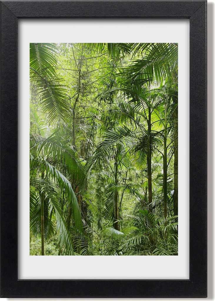 Bild 20x30 MDF-Rahmen, Wandkunst Regenwald