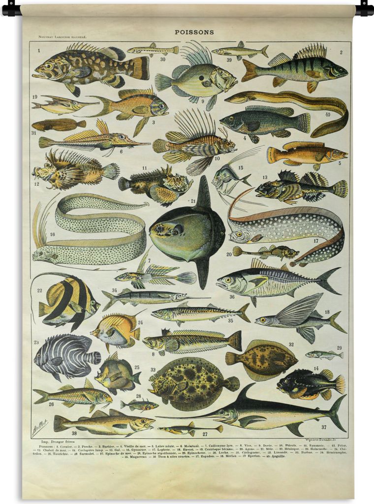 MuchoWow Wandteppich Wandbehang Adolphe Millot - Kunst - Vintage - Fische - Tiere 120x180 cm Tapisserie Dekoration Wandtuch - Schlafzimmer - Deko...