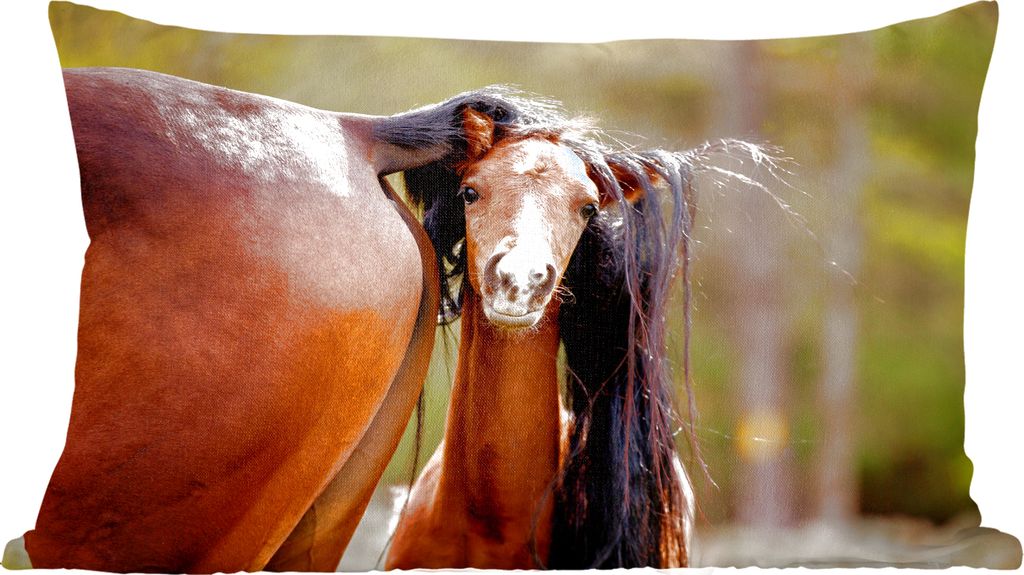 MuchoWow Zierkissen Sofakissen Wohnzimmer Dekokissen 50x30 cm Pferde - Natur - Braun - Wohnzimmerdekoration - Polster mit Photo