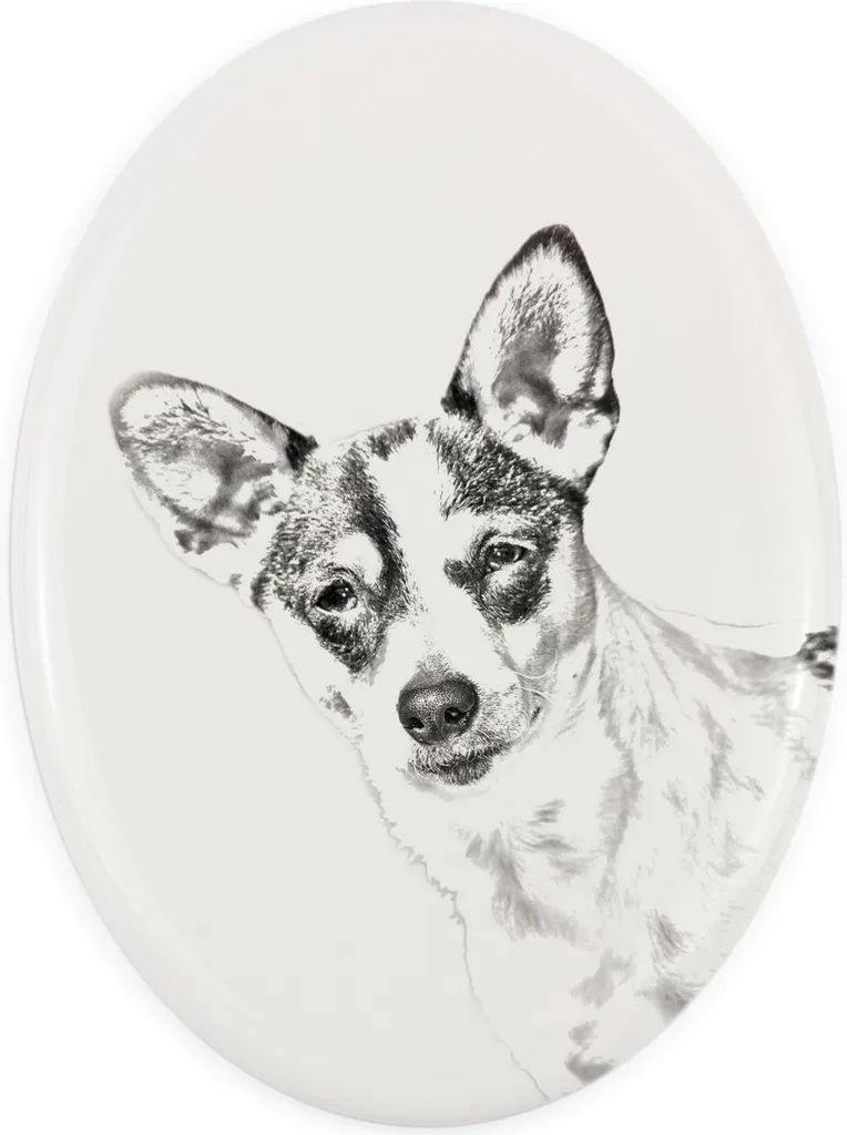 Targa Commemorativa Rat Terrier Personalizzata | Art-Dog Lapide Foto