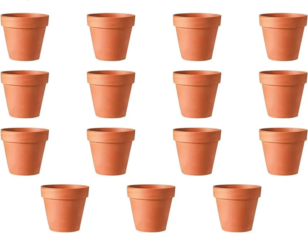 Mini pot de fleurs idéal pour semis et boutures - 15 unités 5,5 x 5 cm