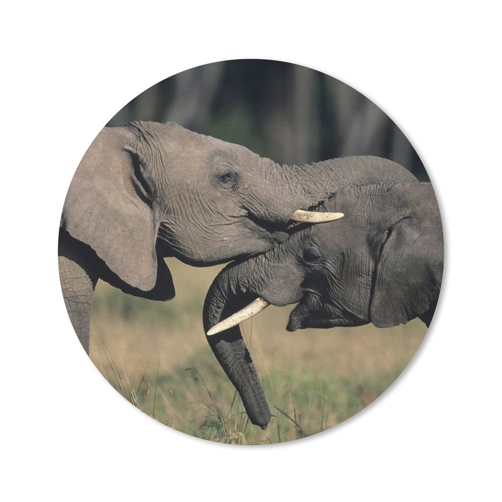 MuchoWow Mauspad Mousepad Elefant - Tiere - Grau - Natur 20x20 cm - Mousepads - Maus Mat - Pad - Mausunterlage - Schreibtischmatte