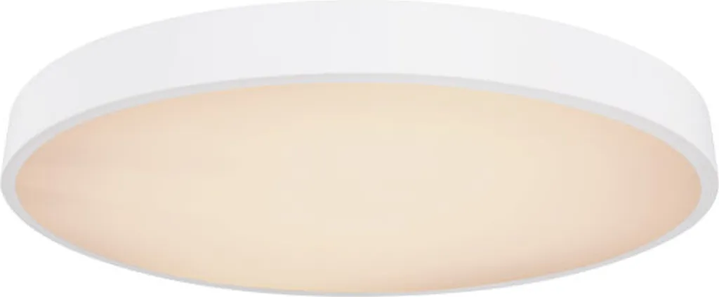 Lampada Soffitto Globo 48W per Camera Bambini e Salotto Dimmerabile