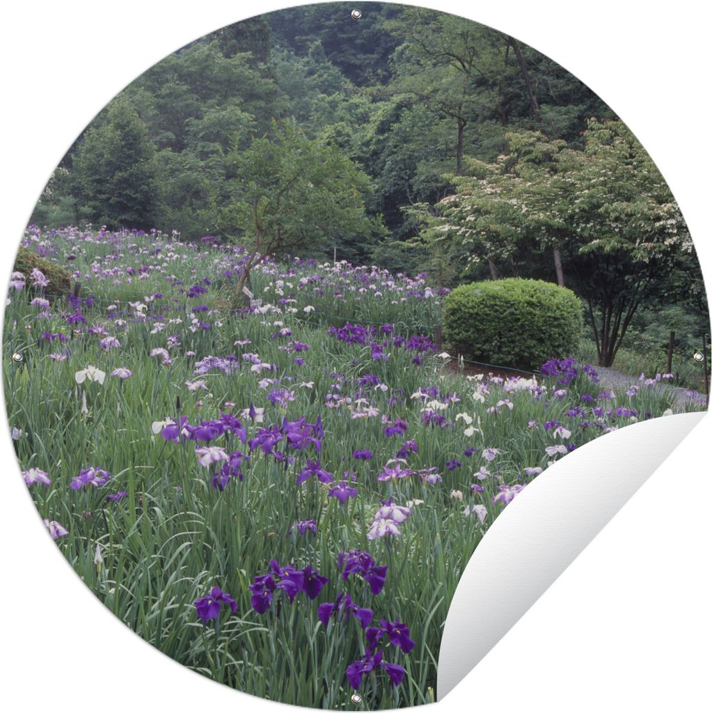 MuchoWow Gartenposter Outdoor-Poster Rund Blumen der Japanischen Schwertlilie - Hügel - Sträucher Ø 120 cm Gartendeko Rundes Poster draußen