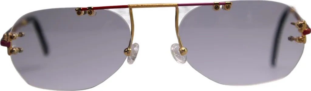 Laudatio Fassung Vidi Vici - Lunettes Idéales pour le Travail sur Écran