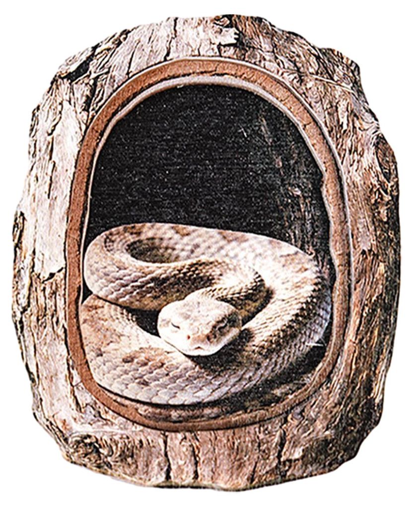 Kühlschrankmagnet mit Baumhöhlen-Tiermotiv, Kühlschrankmagnet aus Holz mit Tiermotiv, Dekoration für Zuhause, Büro, Küche, Schrank, Spind ode...