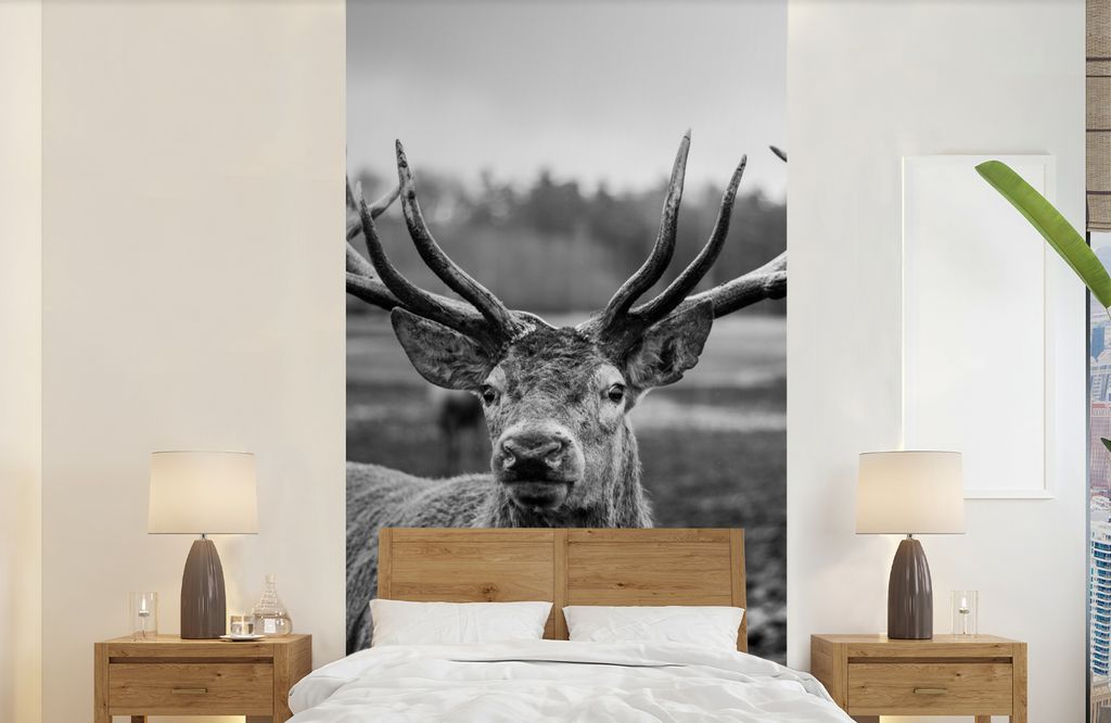 MuchoWow Fototapete für Wohnzimmer oder Schlafzimmer Wandtapete Vinyl Motivtapete Tiere - Hirsch - Geweih - Schwarz und weiß - Natur - 120x240 ...
