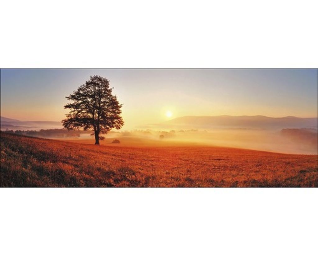 Glasbild Lonely Tree Einzelner Baum auf Wiese Herbstfarben 80x30 cm