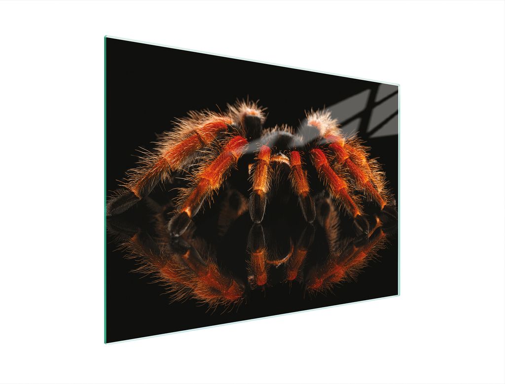 Glasschneidebrett 30x22 Spider
