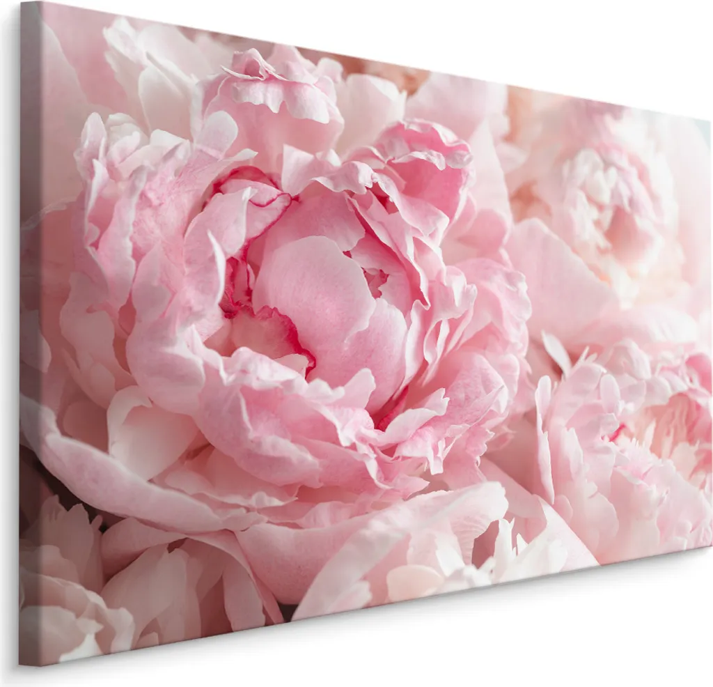 OFFERTA Carta da Parati Tela 90x60 Peonie XXL | Stampa d'Arte Top