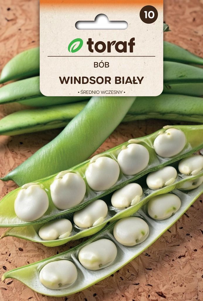 Bób Bobu Windsor Biały Nasiona 50g Toraf 9. Zdjęcie produktu 