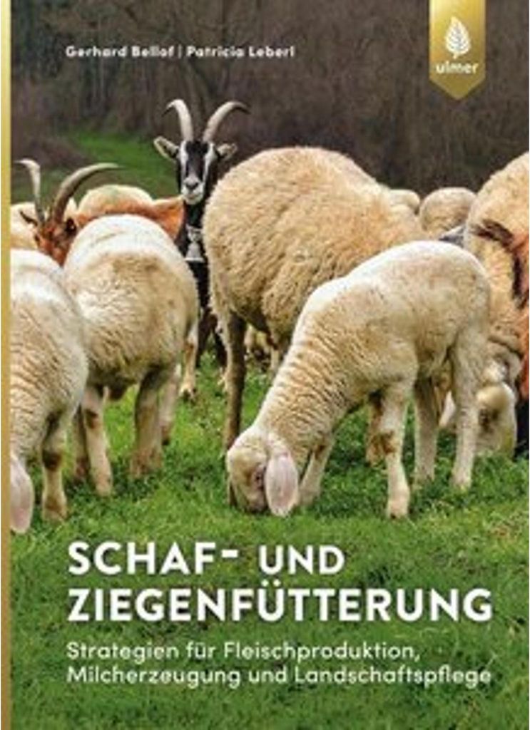 Schaf- und Ziegenfütterung