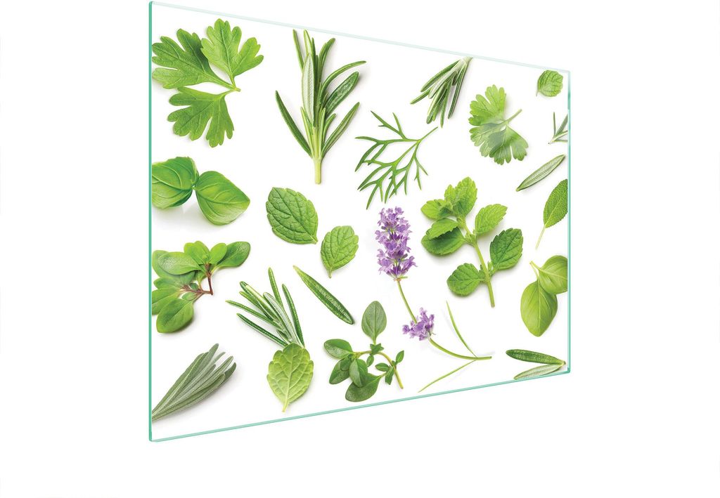 Glasschutzplatte Für Herd 70X52 Pflanzen