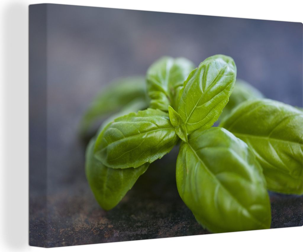 OneMillionCanvasses - Leinwandbilder - 140x90 cm, Nahaufnahme von Basilikumblättern, Wandbilder Kunstdruck Wanddekoration - Foto auf Leinwand - ...
