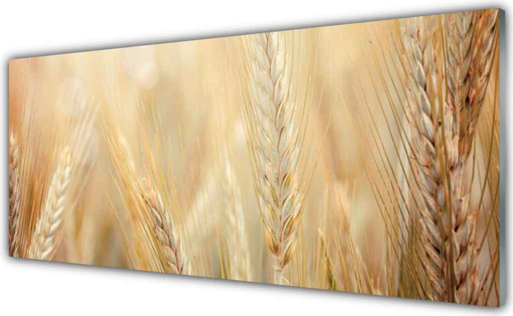 Küchenrückwand aus Glas 125x50cm Spritzschutz Weizen Pflanzen