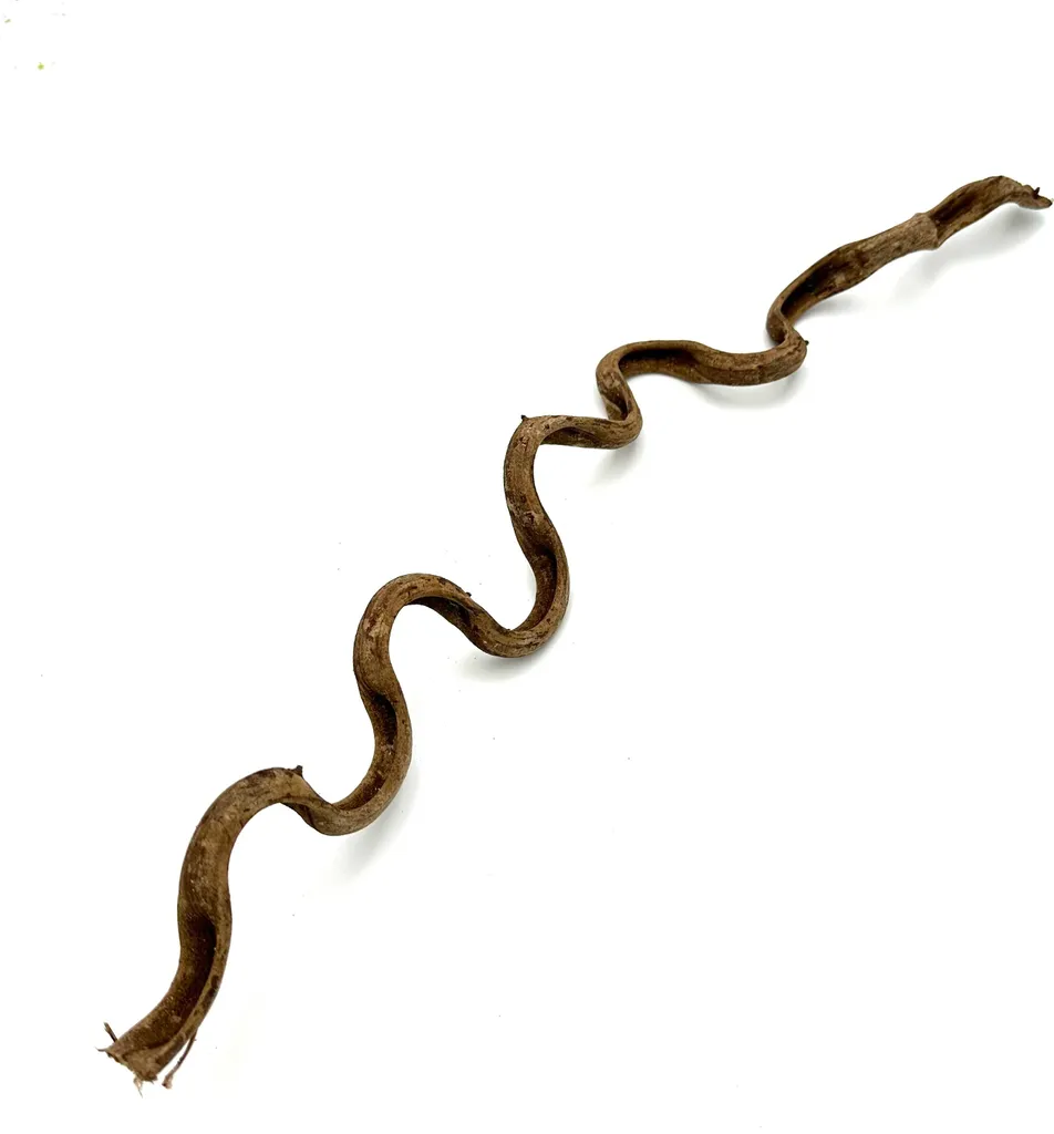 BioThai Liane robuste 2-4cm de diamètre : bois naturel pour grimpeurs 50cm