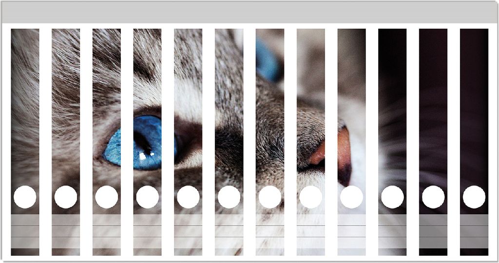 Wallario Ordnerrücken Sticker, selbstklebend für schmale Produktbild 