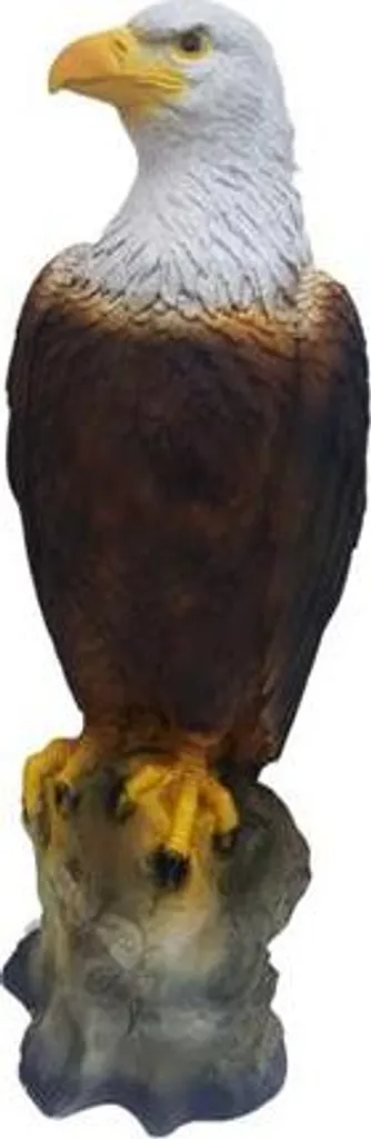 Statue Aigle de Jardin 53cm - Ornement Durable Contre les Intempéries
