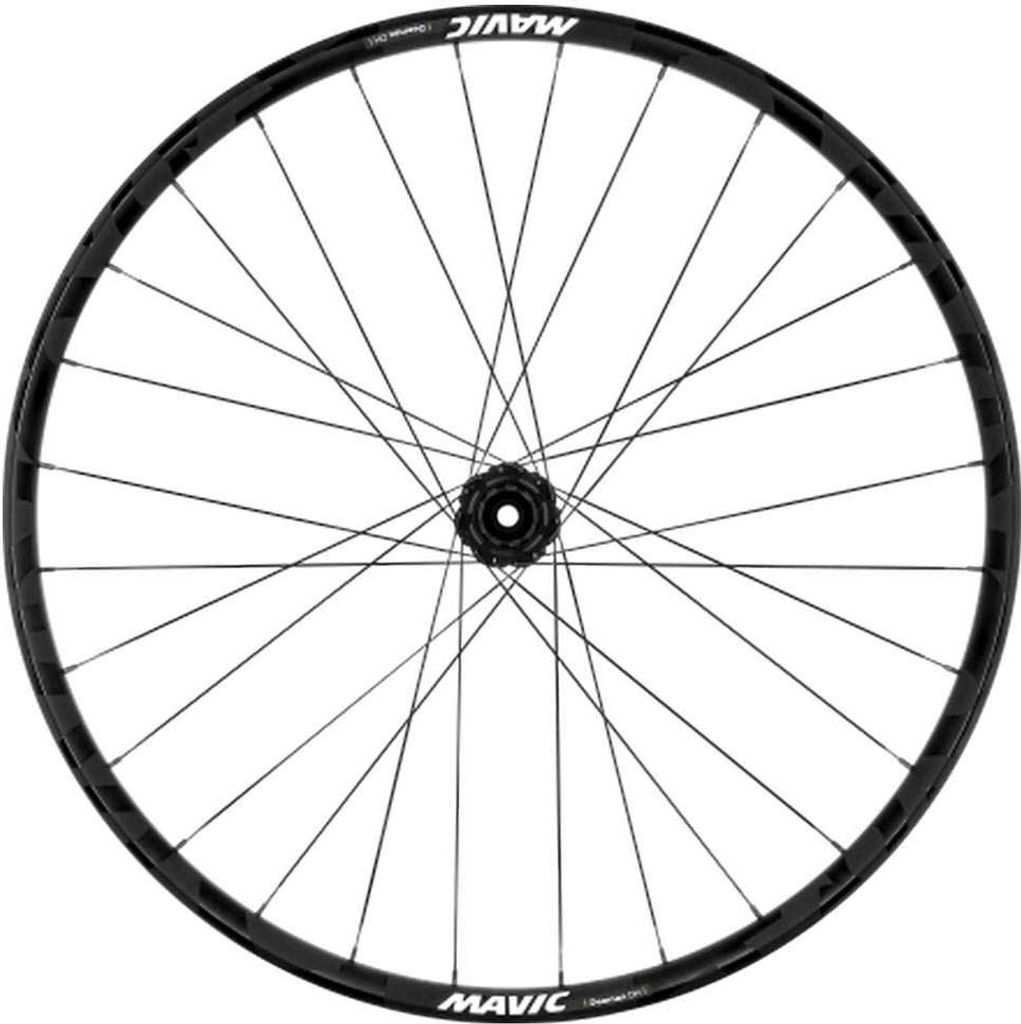 Mavic Deemax Dh 29 ́ ́ Int Boost Mtb Vorderrad Silber 20 x 110 mm Silber 20 x 110 mm