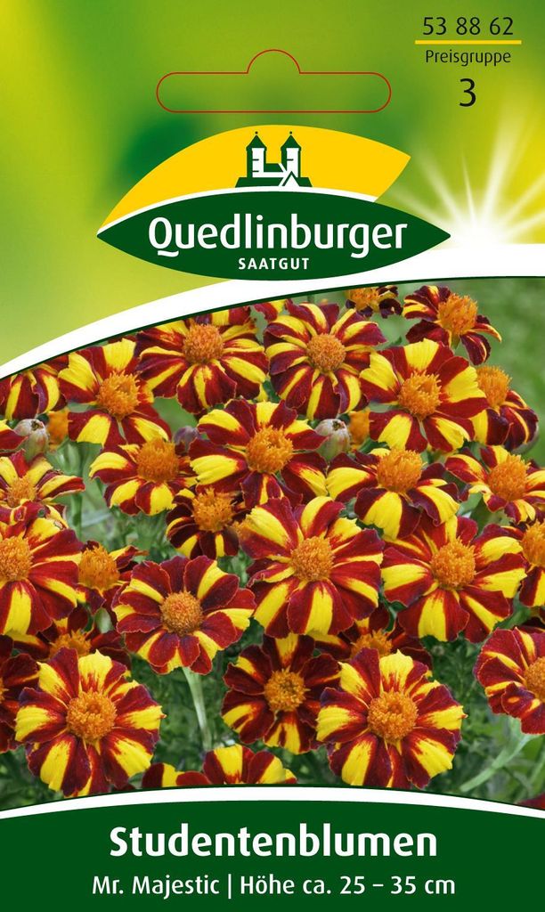 Studentenblume Mr. Majestic | Blumensamen von Quedlinburger Produktbild 