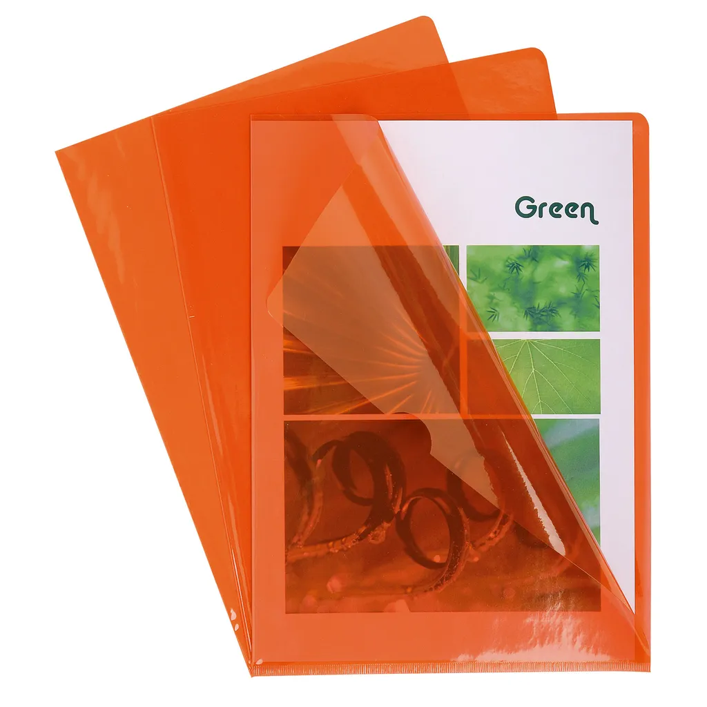 Exacompta 661245E 100 Cartelline Arancioni A4 per Casa e Studio