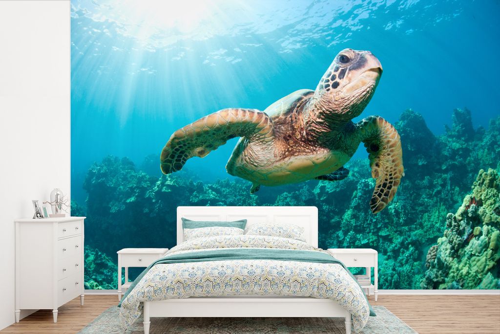 MuchoWow Fototapete für Wohnzimmer oder Schlafzimmer Wandtapete Vinyl Motivtapete Schwimmende Schildkröte Fotodruck - 600x400 cm - Vinyltapeten