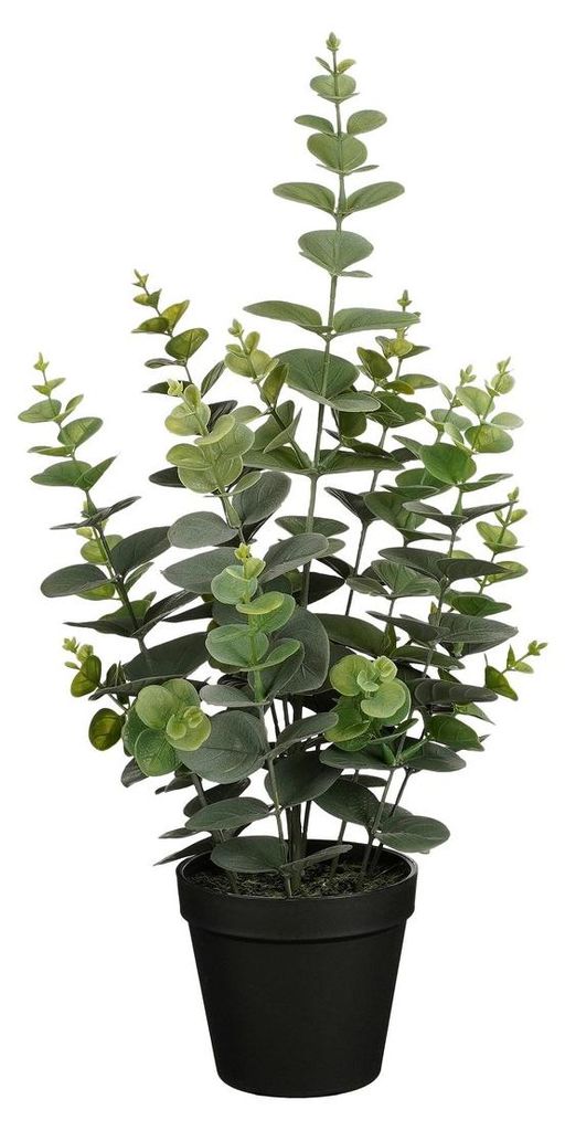Kunstpflanze Eukalyptus - H53 cm - grun - Kunststoff - Produktbild 