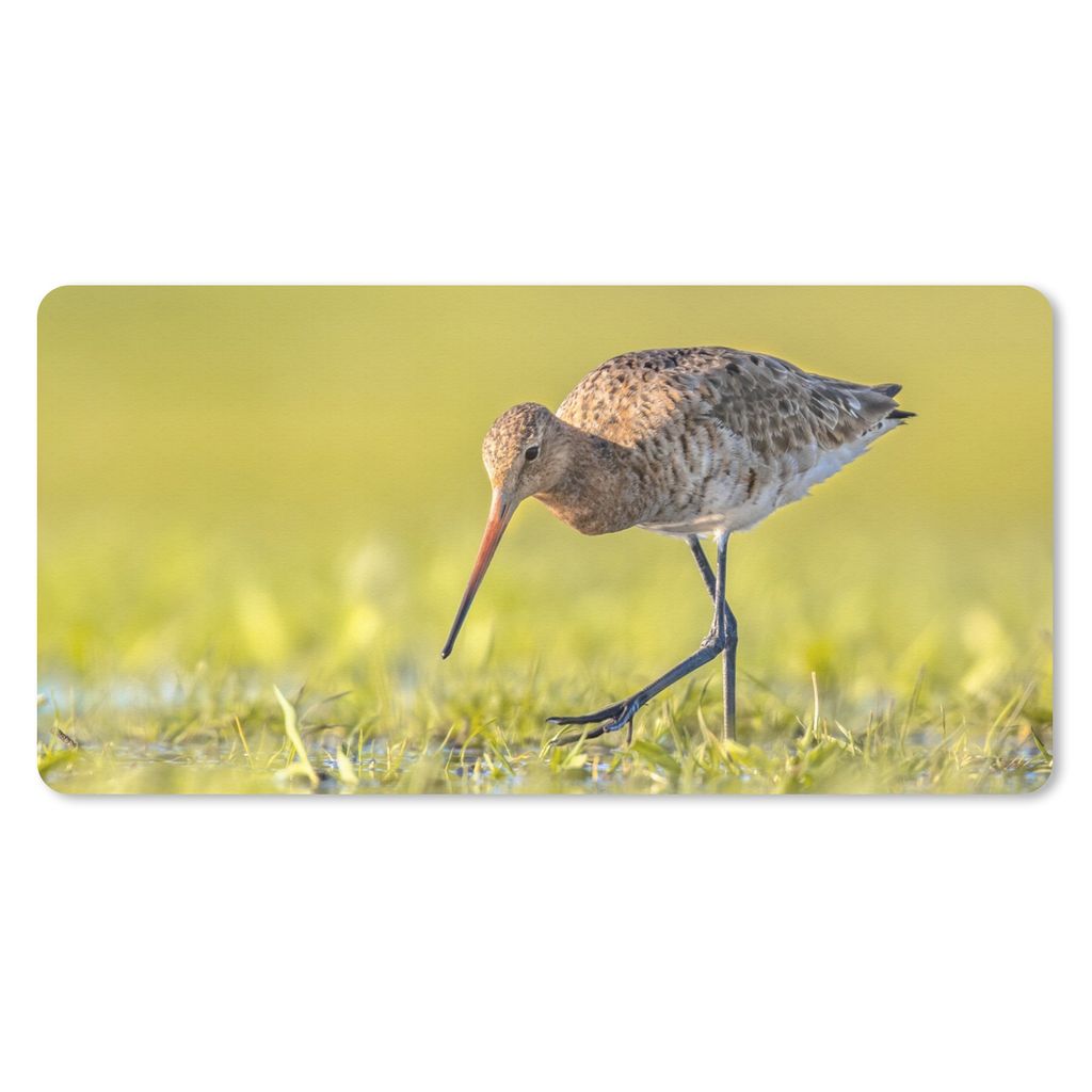MuchoWow Mauspad Mousepad Vögel - Gras - Landschaft - Uferschnepfe 60x30 cm - Mousepads - Maus Mat - Pad - Mausunterlage - Nachhaltig