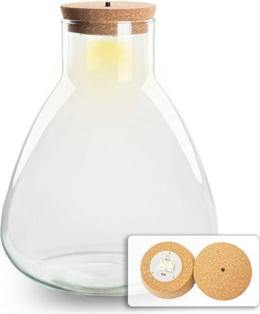 Comment avoir des plantes sans lumière ? Terrarium LED Erlenmeyer 30cm
