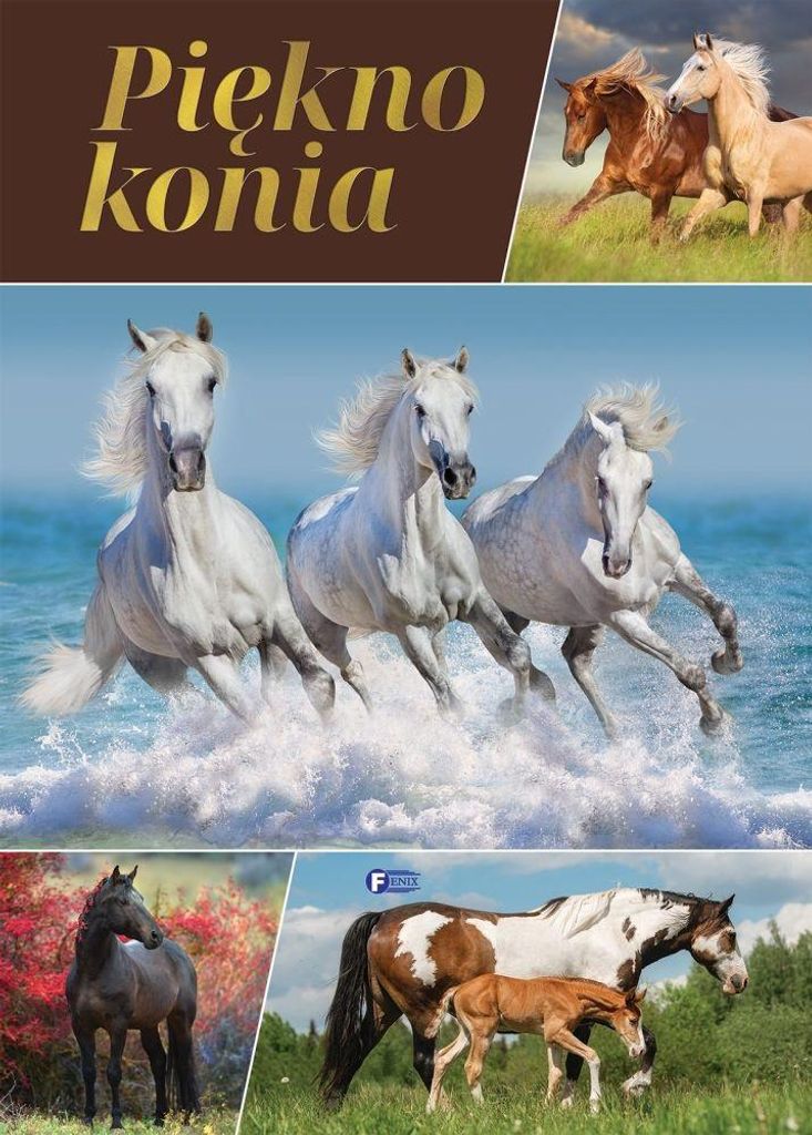 Piękno Konia. Album fotograficzny o koniach. Książka dla dzieci