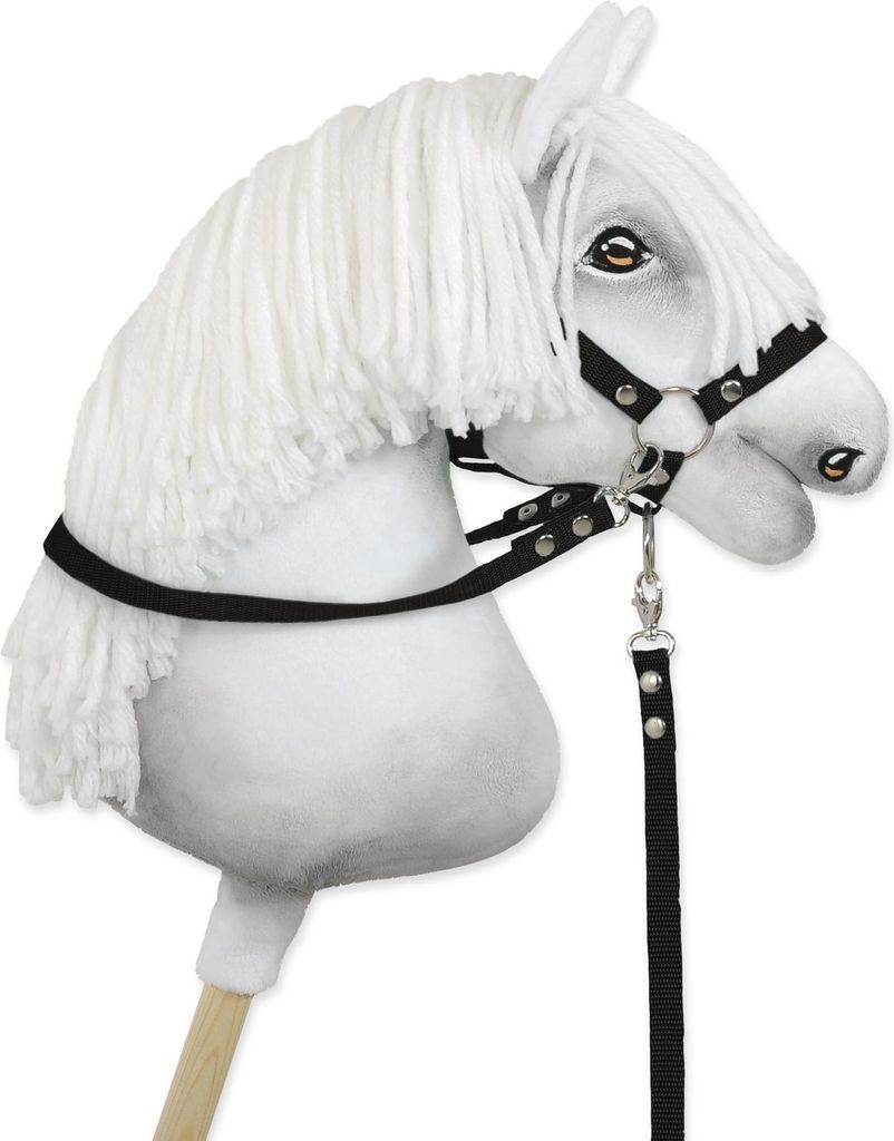 Rênes Hobby Horse - noires Image du produit 