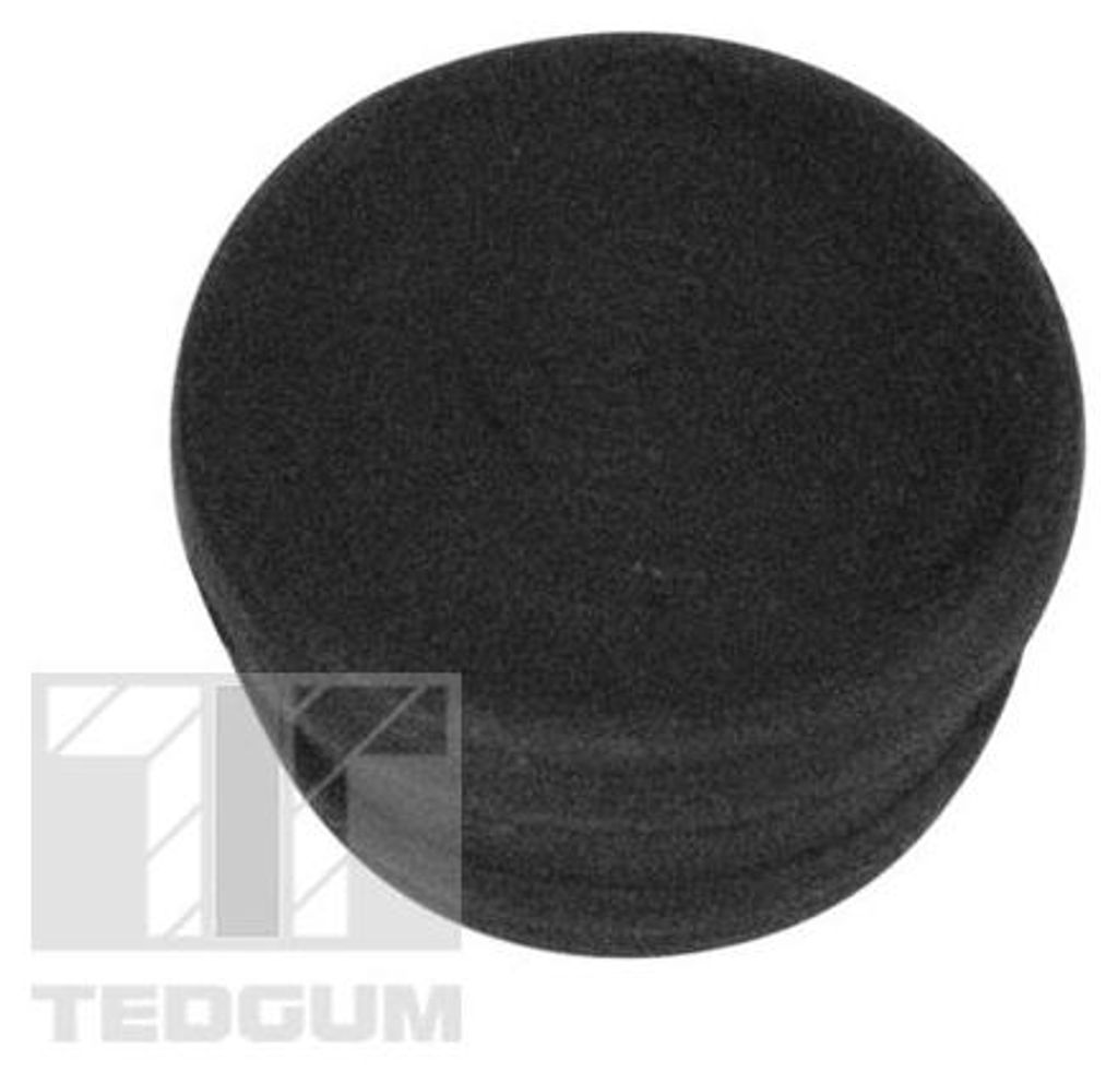Tedgum 00779362 Querlenker-Mittelanschlag Hinten Honda