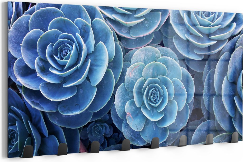 DEQORI Kleiderhaken Glas 60x30 cm 'Blaue Sukkulentenpracht' Wand Garderobe beschreibbar Paneel