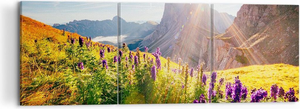 Bild auf Leinwand - Leinwandbild - Berge Wiese Blumen - 120x40cm - Wand Bild - Wanddeko - Leinwanddruck - Bilder - Kunstdruck - Wanddekoration - Le...