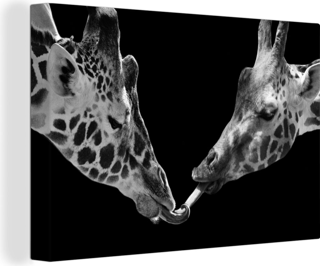OneMillionCanvasses - Leinwandbilder - 150x100 cm, Tiere - Schwarz - Giraffe - Weiß - Porträt, Wandbilder Kunstdruck Wanddekoration - Foto auf ...
