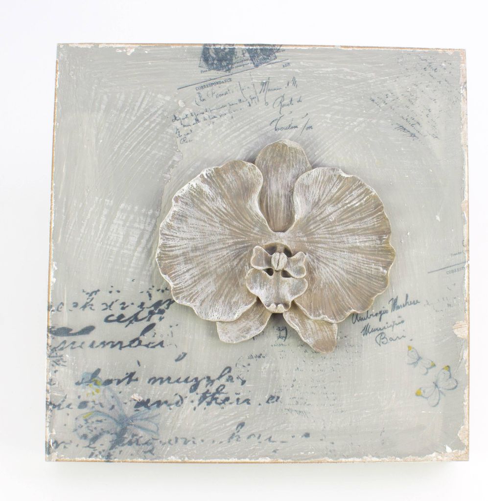 INNA-Glas Wandbild - Deko Bild Phalaenopsis Orchidee, hellgrau, 32x32cm - Bild Orchideenblüte