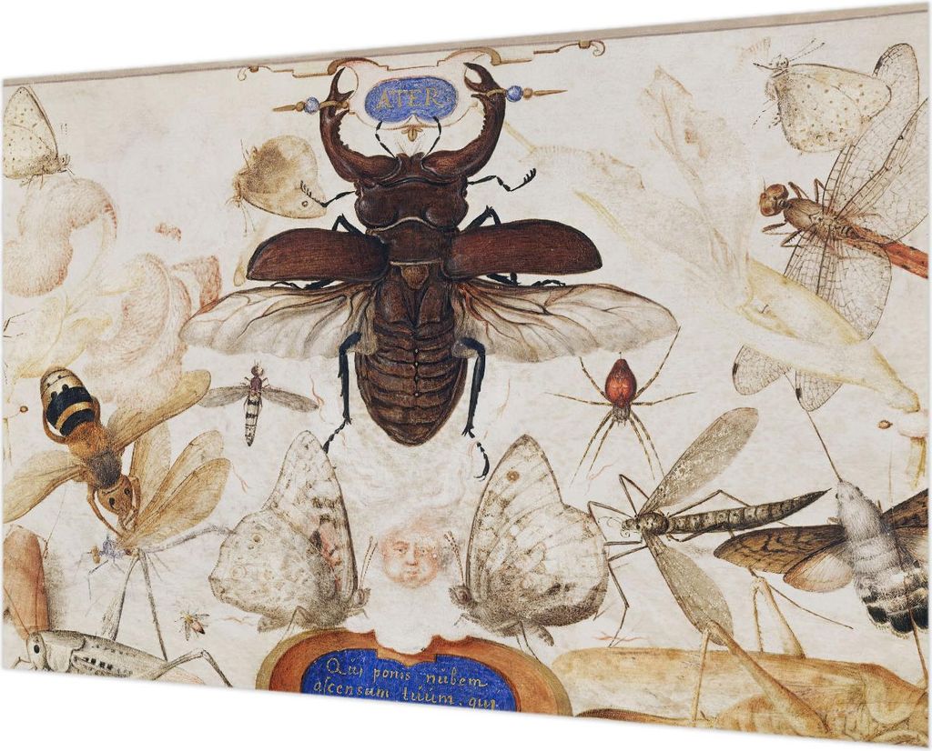 Wandtapete - Dekorative Tapete für Wohnzimmer - Tapetenfolie für Wanddekoration - 152x104 cm - Natürliche Harmonie