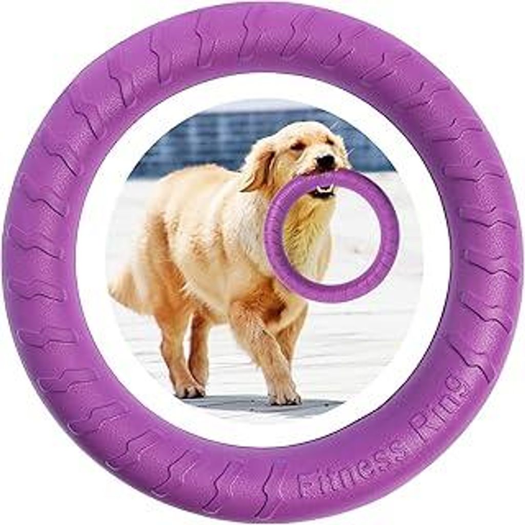 Hunde-Fitness-Ring Hundebiss-Ring Hunde-Trainingsring, Haustier Hund Outdoor-Spiel Trainingsgeräte, Tauziehen Interaktiver Trainingsring für Klei...