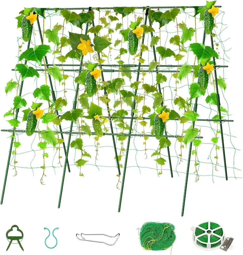 Évitez la Casse des Tiges de Tomates - Kit 6 Tuteurs Réglables 120 cm