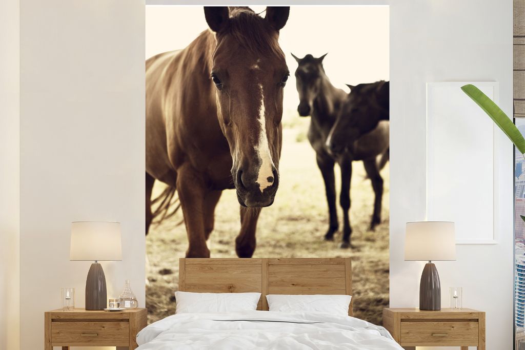 MuchoWow Fototapete für Wohnzimmer oder Schlafzimmer Wandtapete Vinyl Motivtapete Pferde Sepia-Fotodruck - 155x240 cm - Tapete